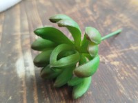 Umělý netřesk... Umělý netřesk...