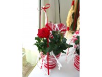 Valentýnská růže