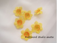 Mini květ narcisu...