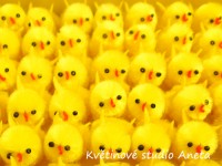 Kuřátko 4cm...