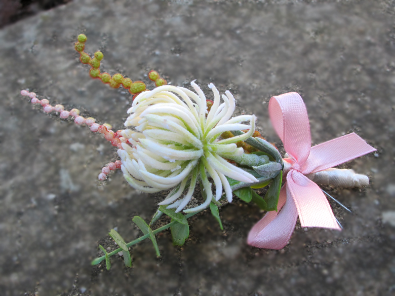Brilliant Flowers "Late Summer"
