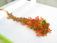 Svatebni seminář 11