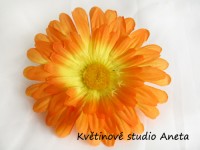 Květ gerbera oranžová...