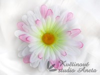 Květ gerbera růžová...