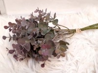 Snítka eukalyptu purple...