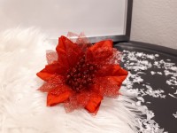 Poinsettia červená...
