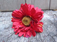 Květ gerbera červená vánoční...