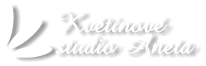 Květinové studio Aneta